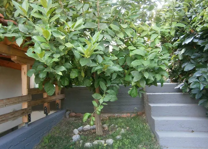 Garden 아파트