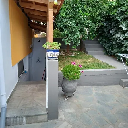 Garden *
