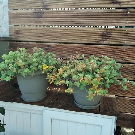 Apartament Garden *