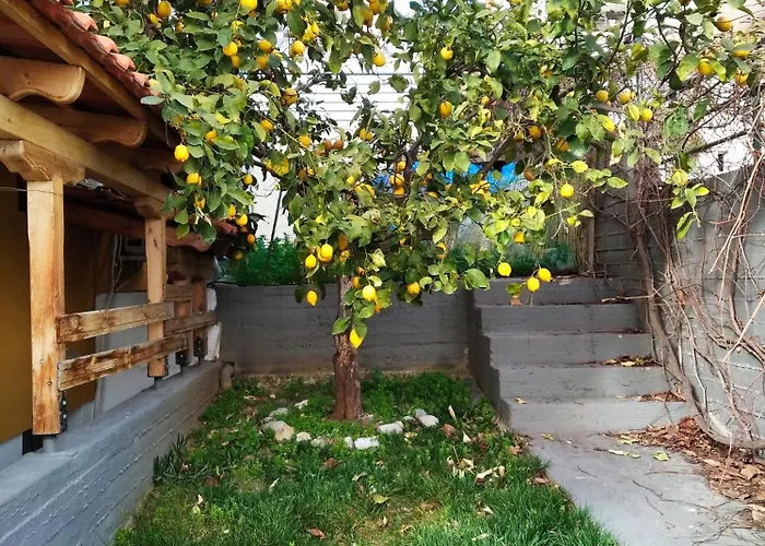 Apartment Garden Kavala